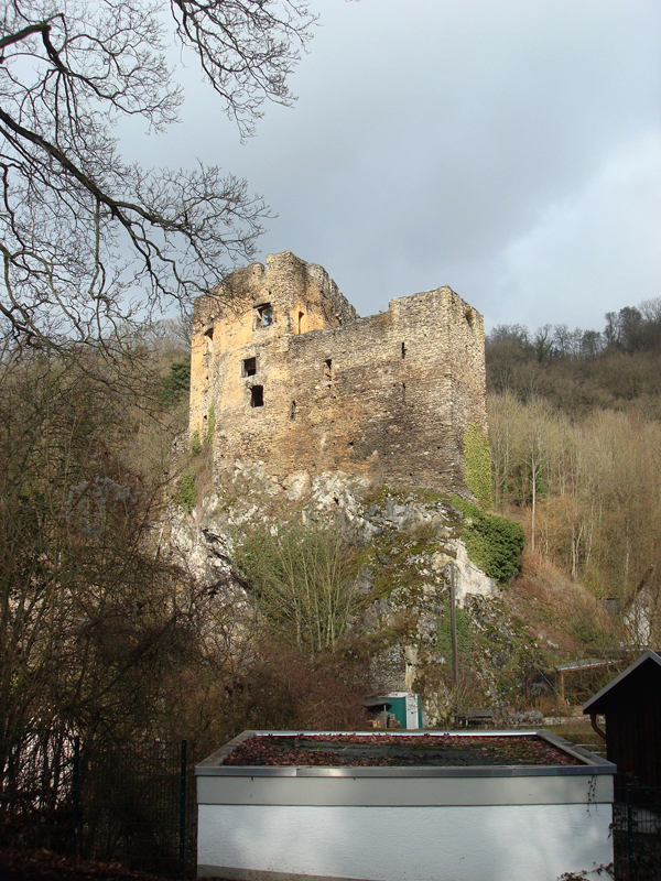Wandern%20nach%20Balduinstein%2017.2.13%20010_2304x3072 Wandern%20nach%20Balduinstein%2017.2.13%20010_2304x3072